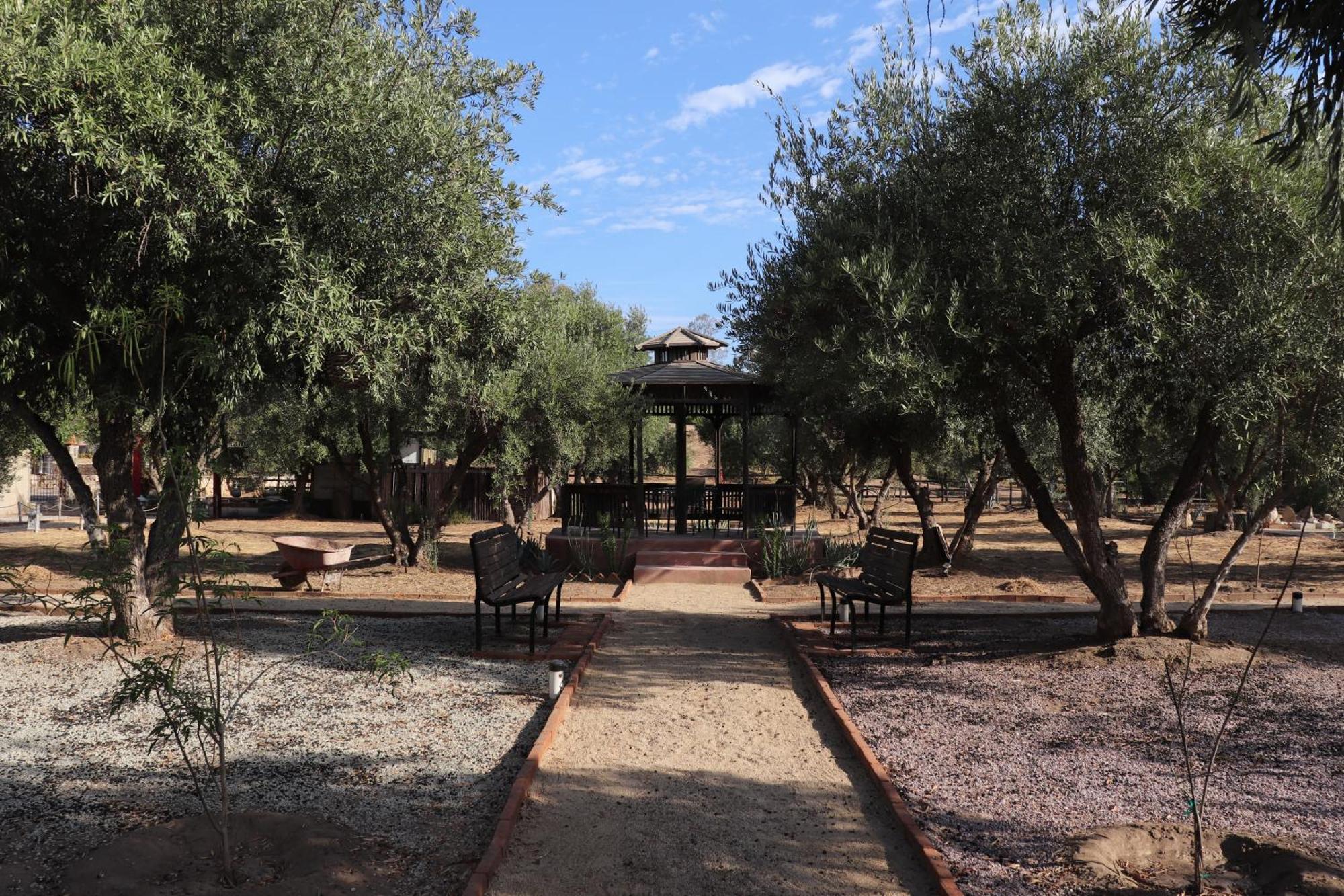 Estancia Los Amigos Valle De Guadalupe Buitenkant foto